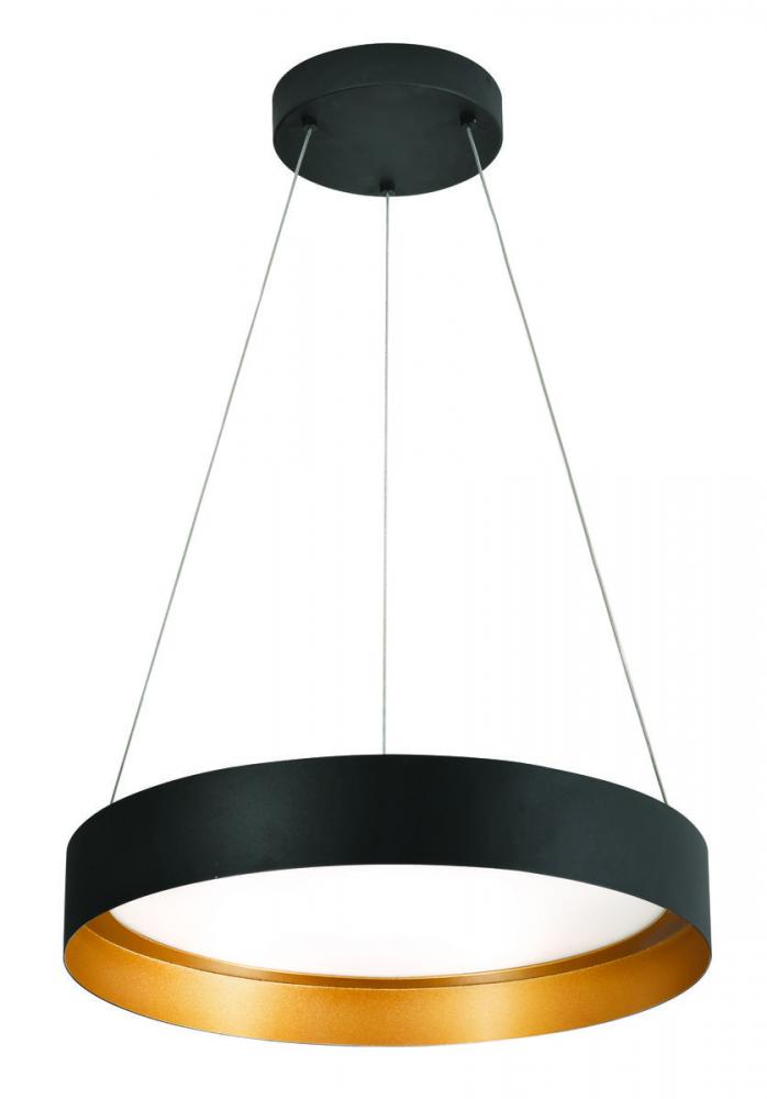 Reveal 20&#34; LED Pendant