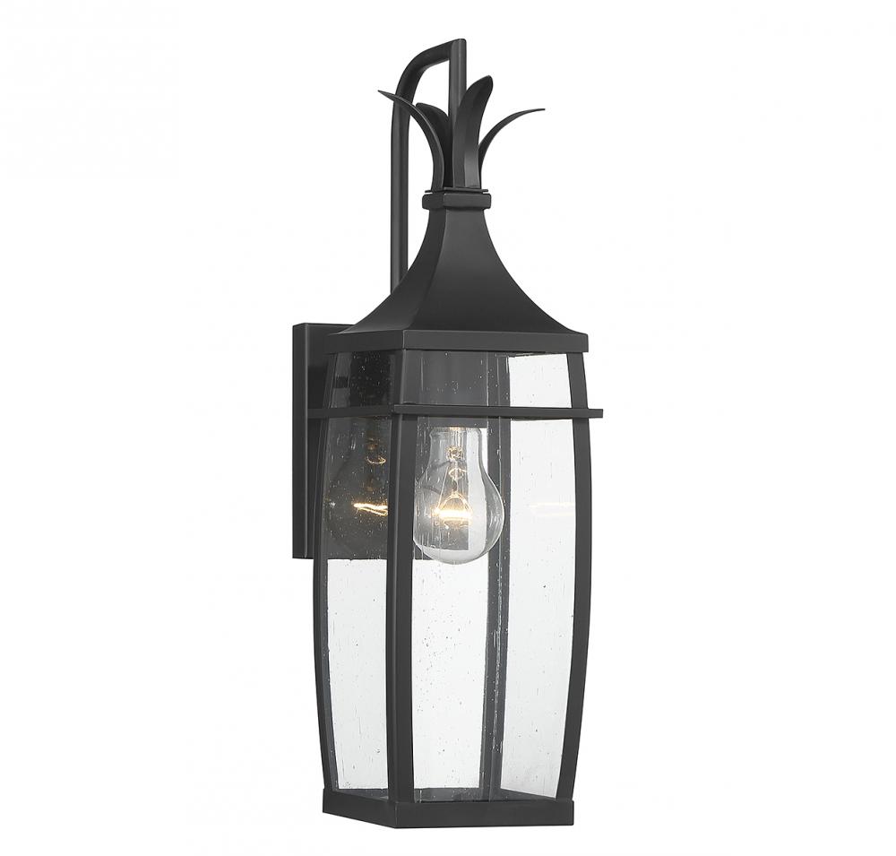 Montpelier 1-Light Outdoor Wall Lantern in Matte Black