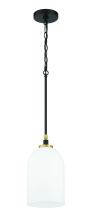 Craftmade 60391-FBSB - 1 Light Pendant