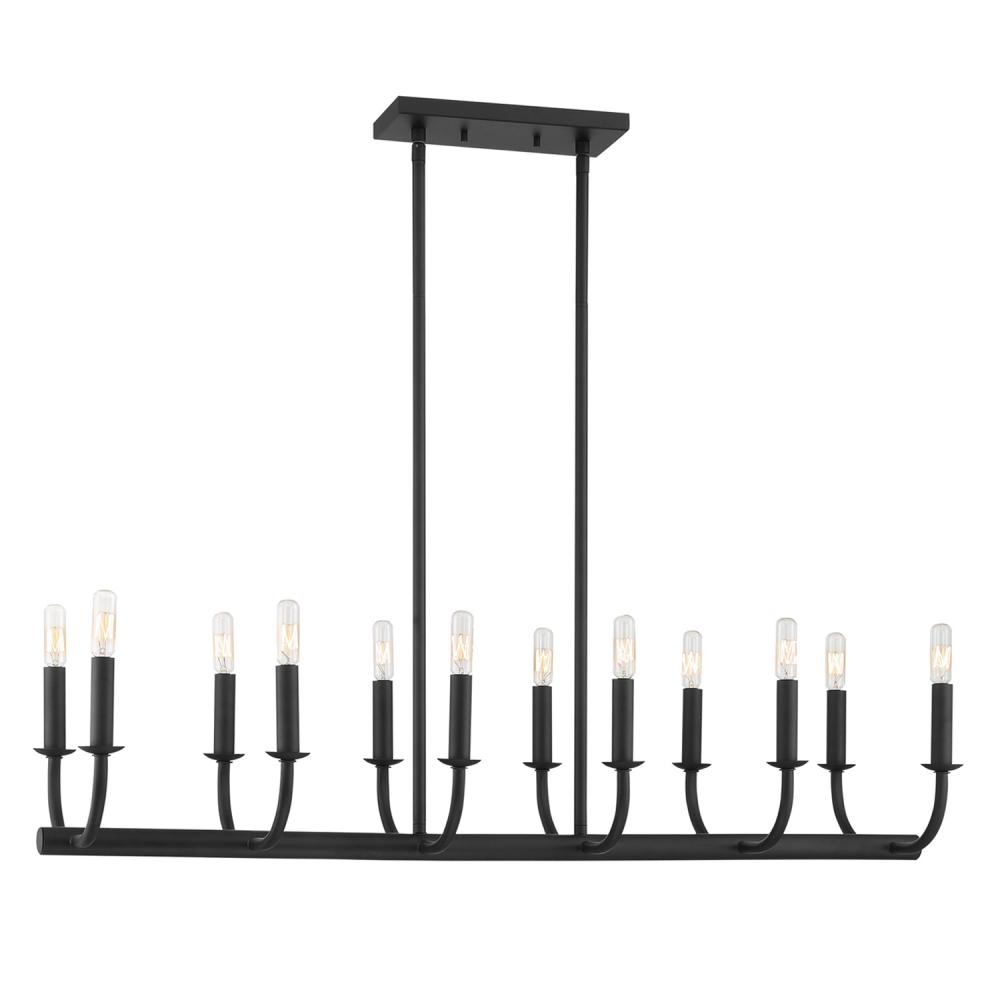 Bailey 12 Light Matte Black Chandelier