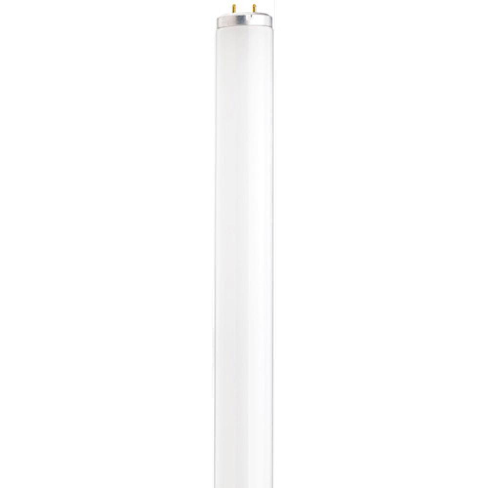 14 Watt; T12; Fluorescent; 6500K Daylight; 76 CRI; Medium Bi Pin base