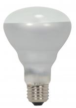 Satco Products Inc. S2451 - 45 Watt; Halogen; BR25; Frosted; 2000 Average rated hours; 560 Lumens; Medium base; 120 Volt