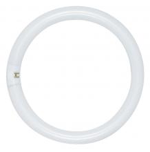 Satco Products Inc. S6505 - 32 Watt; T9; Circline Fluorescent; 3000K Warm White; 52 CRI; 4-Pin base