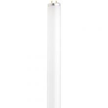 Satco Products Inc. S6560 - 14 Watt; T12; Fluorescent; 6500K Daylight; 76 CRI; Medium Bi Pin base