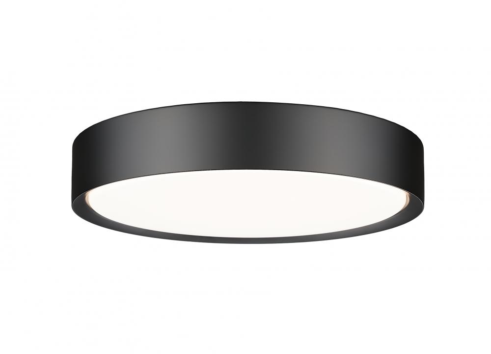 1 Light Flush Mount