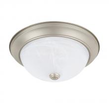 Capital 219022MN - 2 Light Flush Mount