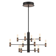 Eurofase 46353-016 - Albany 12 Light Chandelier in Black and Brass