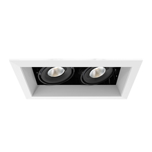 Eurofase TE162LED-30-4-02 - MuLT, 15w, Trm, 2LT , 30k, Wht/blk