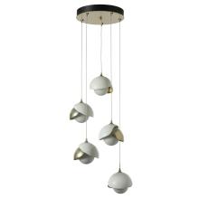 Hubbardton Forge 131125-SKT-STND-86-02-GG0711 - Brooklyn 5-Light Double Shade Pendant