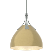 Hubbardton Forge 134502-SKT-MULT-82-86 - Summit Pendant