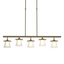 Hubbardton Forge 136605-SKT-LONG-84-ZU0284 - Wren 5 Light Pendant