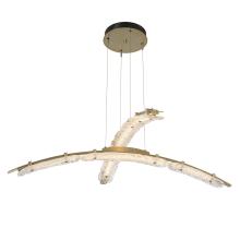 Hubbardton Forge 137587-LED-STND-86-ZM0749 - Glissade Double Large LED Pendant