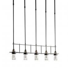 Hubbardton Forge 137725-SKT-STND-07-ZM0343 - Erlenmeyer 5 Light Pendant