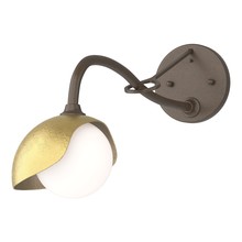 Hubbardton Forge 201376-SKT-05-86-GG0711 - Brooklyn 1-Light Single Shade Long-Arm Sconce