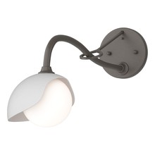 Hubbardton Forge 201376-SKT-07-02-GG0711 - Brooklyn 1-Light Single Shade Long-Arm Sconce