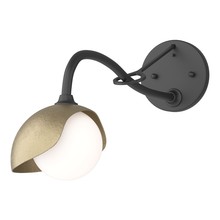 Hubbardton Forge 201376-SKT-10-84-GG0711 - Brooklyn 1-Light Single Shade Long-Arm Sconce