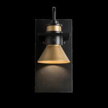 Hubbardton Forge 307716-SKT-10-10 - Erlenmeyer Dark Sky Friendly Outdoor Sconce