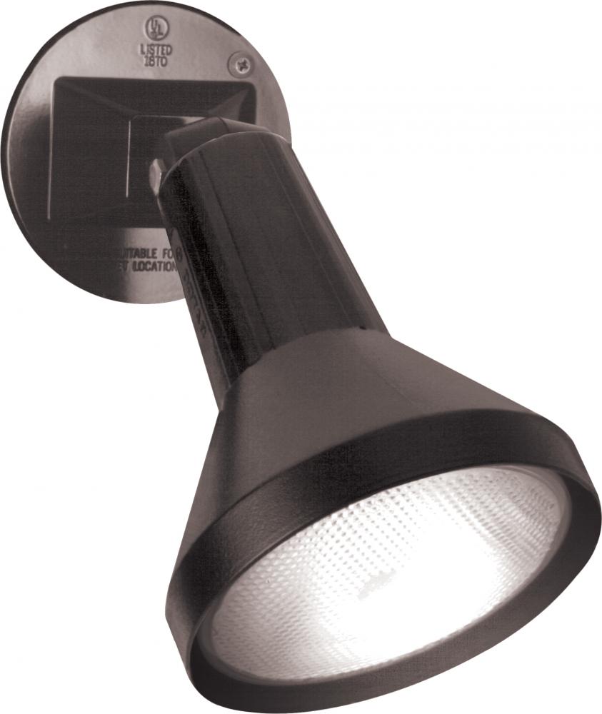 1 Light - 8&#34; Flood Light PAR38 with Adjustable Swivel - Black Finish