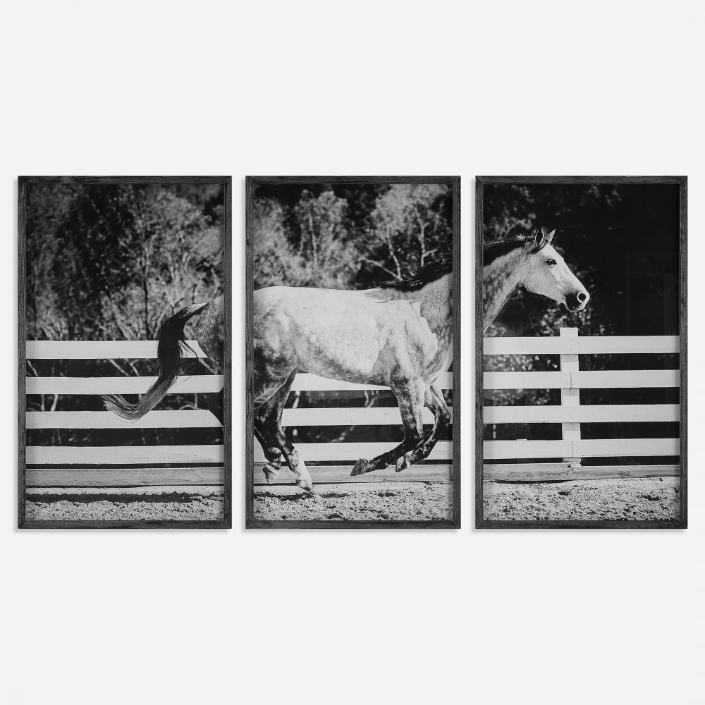 Uttermost Galloping Forward Equine Prints, Set/3