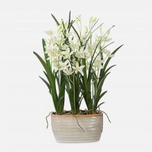 Uttermost 60227 - Uttermost Ariana Orchid Planter