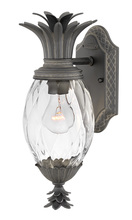 Hinkley 2126MB - Medium Wall Mount Lantern