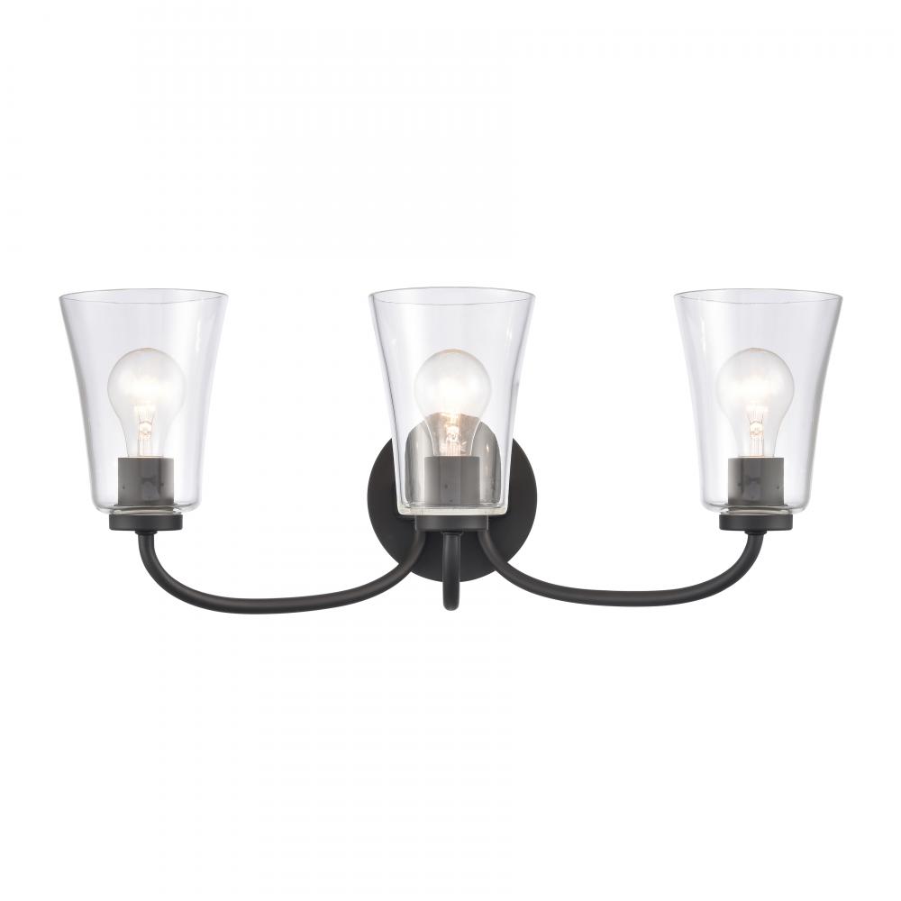 Emily 23&#39;&#39; Wide 3-Light Vanity Light - Matte Black